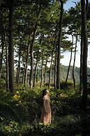 JW Marriott Jeju Resort & SPA