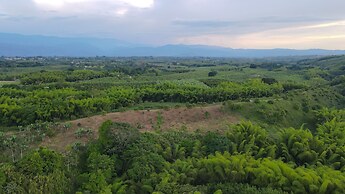 Palta Eco Haven Hotel