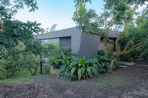 Palta Eco Haven Hotel