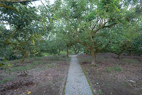 Palta Eco Haven Hotel