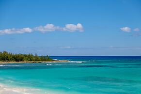 Palm Hill House 4 Bedroom Home