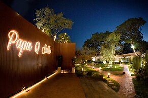 papa q suite resorts