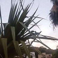 Suites Bugambilias Rooms Primavera Bosque