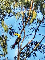 La Finca Lorena Tayrona