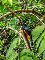 La Finca Lorena Tayrona