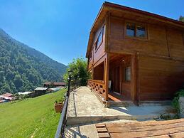 Ayder Yardımcı Apart