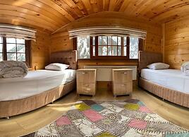 Ayder Yardımcı Apart