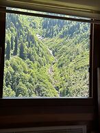 Ayder Yardımcı Apart