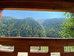 Ayder Yardımcı Apart