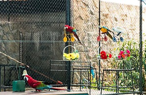 Smile Samui Chaweng Beach Front Resort