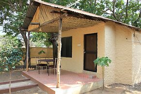 Avadale Tadoba - Stag Groups Not Allowed