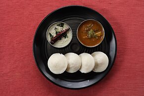 Avadale Tadoba - Stag Groups Not Allowed