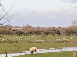 Lilyrose Cottage