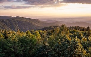Fehér Sas Panzió és Étterem