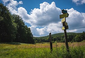 Fehér Sas Panzió és Étterem