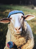 James' Place @ The Park