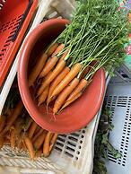 Casagon Alves in Gon Alves