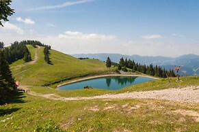 Homestead Metul Pool Suite 1