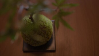 Staypia Condominium Namba Ebisu