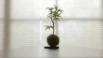 Staypia Condominium Namba Ebisu