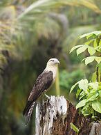 Casa Cayuco Eco-Adventure Lodge