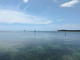 Bud N' Mary's Fishing Marina