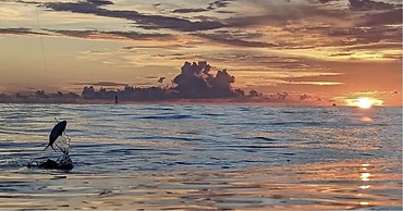 Bud N' Mary's Fishing Marina