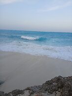 Majani Breeze
