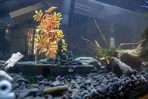 Las Carmelas, Airport Juan Santamaría, Alajuela, San José