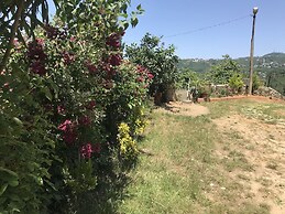 Karabina Village Houses