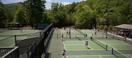 Luxury Mountain Home in Big Canoe! Golf / Lake / EV / Game Room!