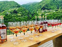 Hotel Chateau Iveri