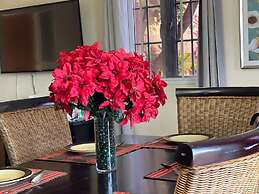 Montego Bay-Island Escape-Free-Shuttle