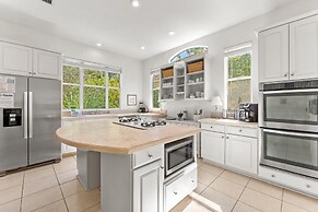 Daze Off S 4633 Paradise Isle