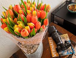 Macaia Rooms Vernazza