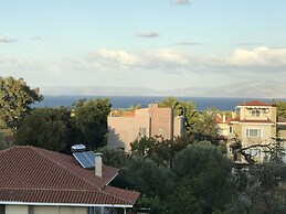 Beautiful Spacious apt in Nea Makri