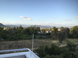 Beautiful Spacious apt in Nea Makri