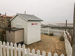 Oyster Catchers
