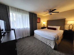 Private Condos, View will Vary, with Corporate Rental Car Savings Code