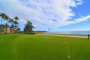 Private Condos, View will Vary, with Corporate Rental Car Savings Code