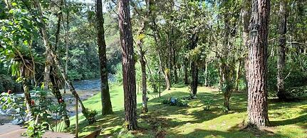 Pousada Bosque do Visconde