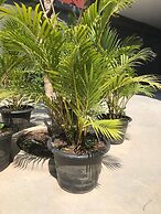 Hotel Chom Chao City