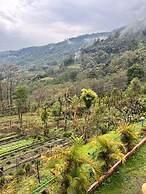 Rumtek Boutique Nest