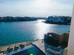 Lakeside in the Desert