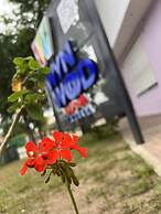 Hostel Wynwood Extreme