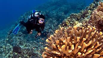 Maui Kamaole M106 in Kihei