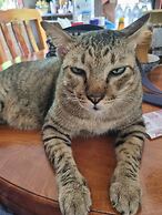 Sawasdee Sichang Resort