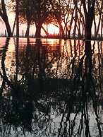 Don Jons Lodge -Surf & Yoga