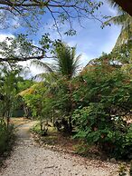 Don Jons Lodge -Surf & Yoga