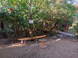 Don Jons Lodge -Surf & Yoga